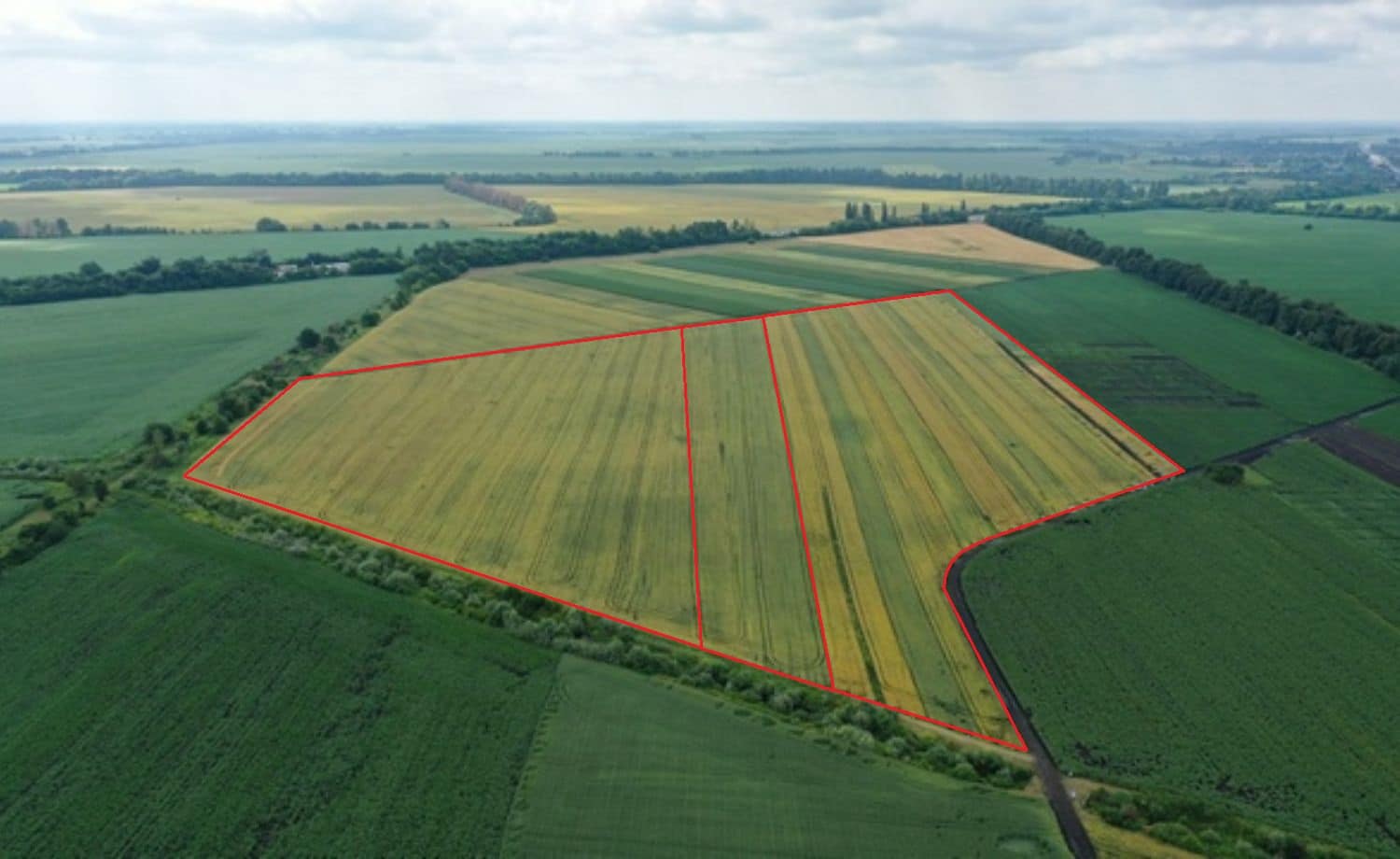 Кадастровий номер