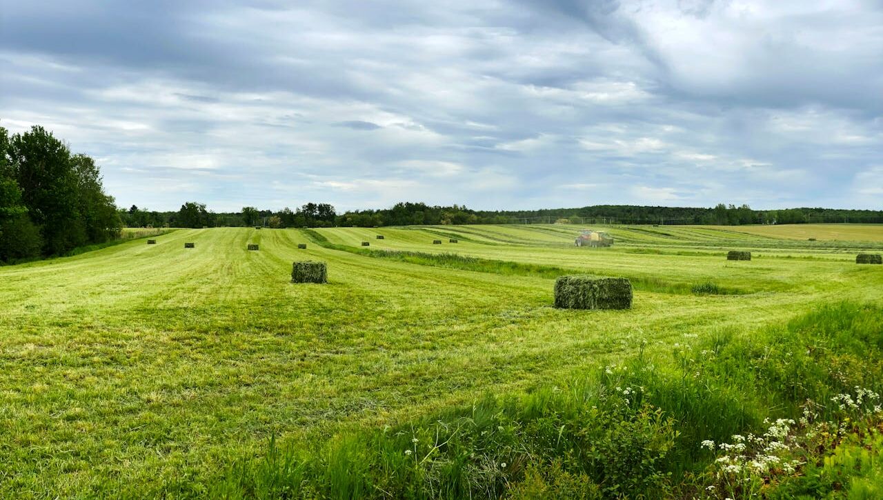 Продати земельний пай в оредні, гід в 2026 році