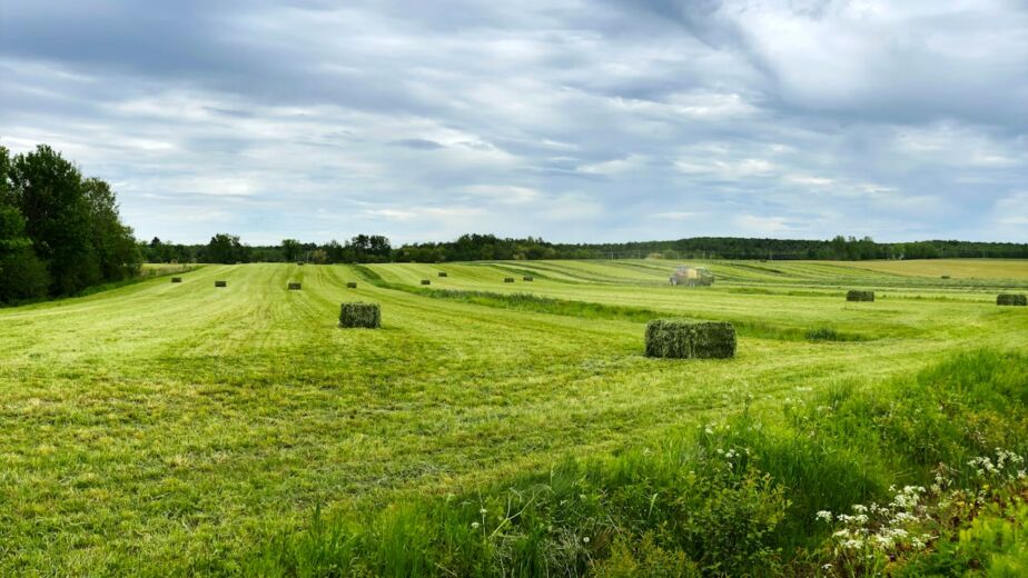 Продати земельний пай в оредні, гід в 2026 році